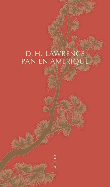Pan en Amérique