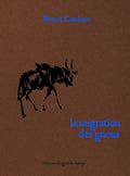 La Migration des gnous