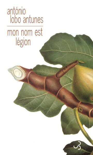 Mon nom est légion
