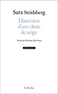 Dissection d'une chute de neige