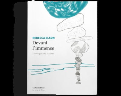 DEVANT L IMMENSE - EDITION BILINGUE
