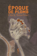 Époque de plomb