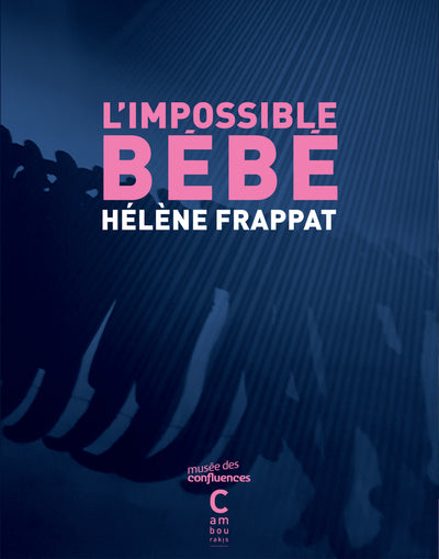 L'Impossible Bébé