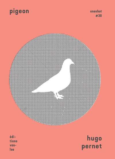 Pigeon